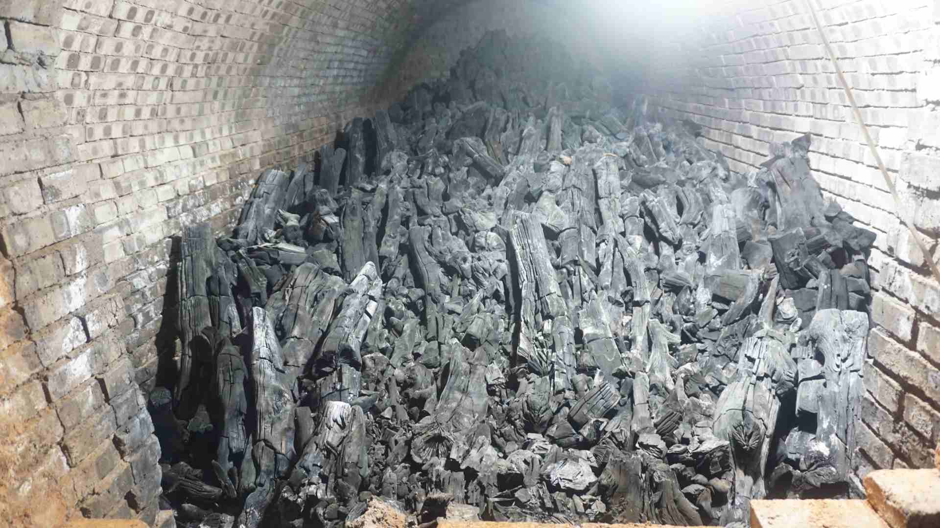 Why did we choose apple charcoal as our only charcoal ingredient?